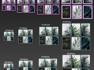 tropical set-01 framed 3D Model