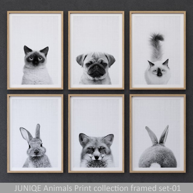 animals print collection framed set-01 3D Модель .c4d .max .obj .3ds .fbx .stl .blend 