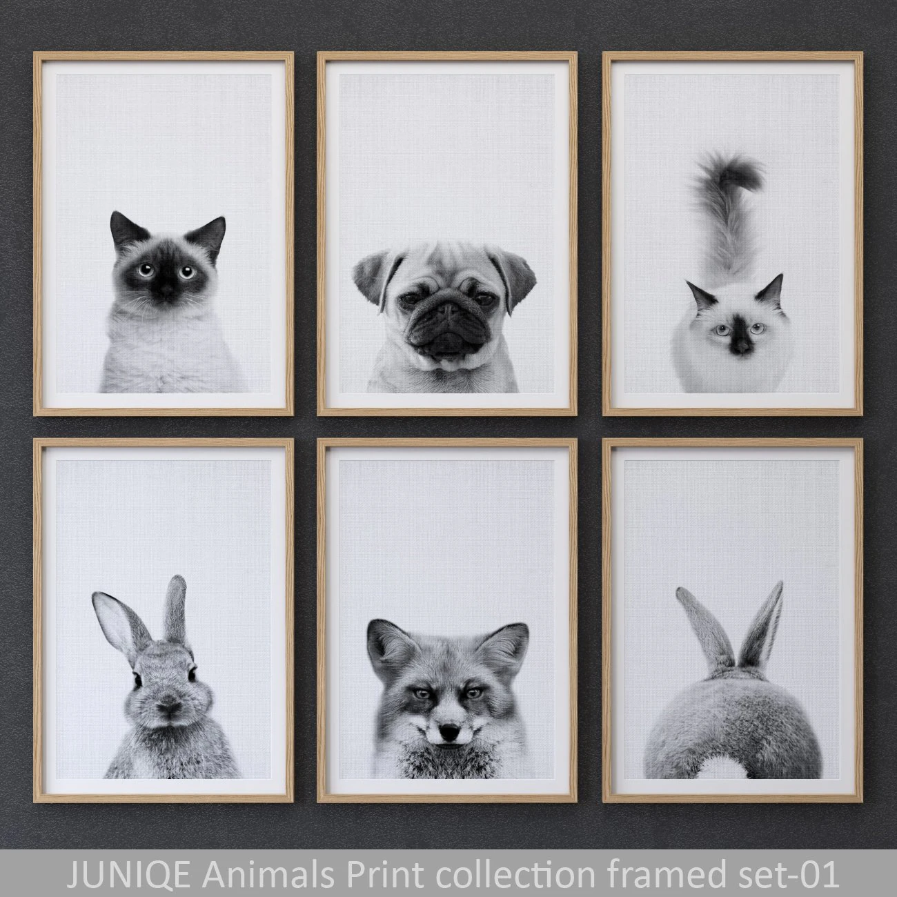 animals print collection framed set-01 3D Model .c4d .max .obj .3ds .fbx .stl .blend 