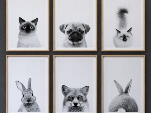animals print collection framed set-01 3D Model