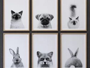 cole&ccedil;&atilde;o de estampas de animais emolduradas set-01 Modelo 3D