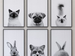 animals print collection framed set-01 3D Модель
