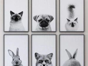 animals print collection framed set-01 3D Model