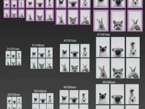 animals print collection framed set-01 3D Model