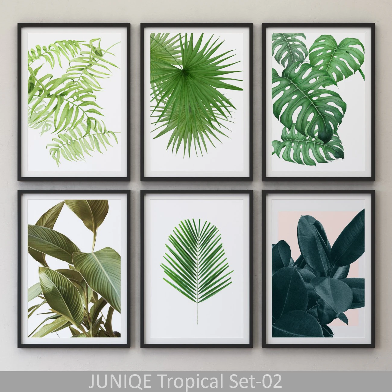 tropical set-02 framed 3D Model .c4d .max .obj .3ds .fbx .stl .blend 