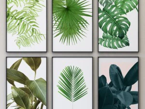 tropical set-02 framed 3D Model