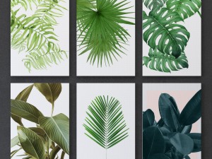 tropical set-02 framed 3Dモデル