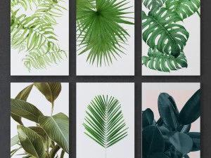 tropical set-02 framed 3D Model