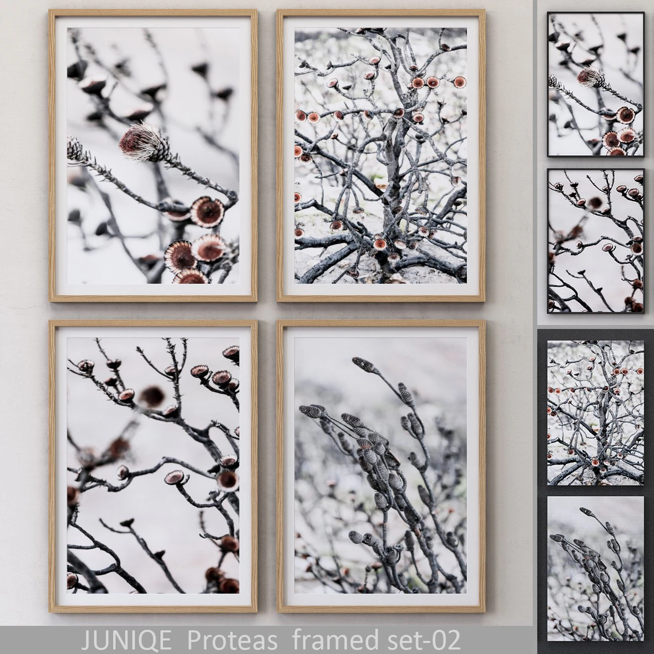 proteas framed set-02 3D Model .c4d .max .obj .3ds .fbx .stl .blend