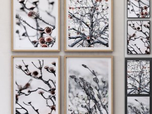 proteas framed set-02 3D Модель