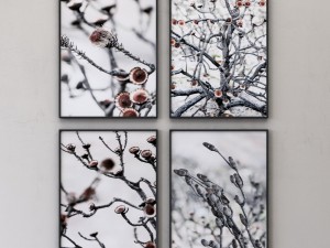 proteas framed set-02 Modèle 3D