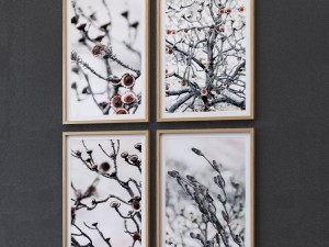 proteas framed set-02 Modèle 3D