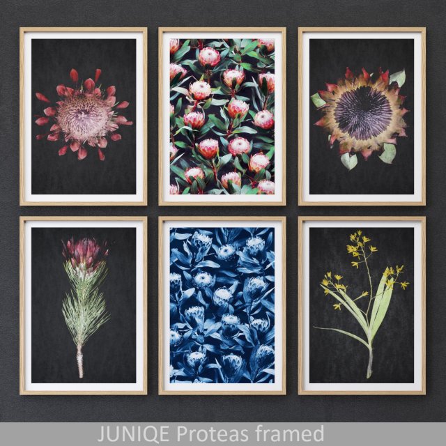 proteas framed set-01 3Dモデル .c4d .max .obj .3ds .fbx .stl .blend 