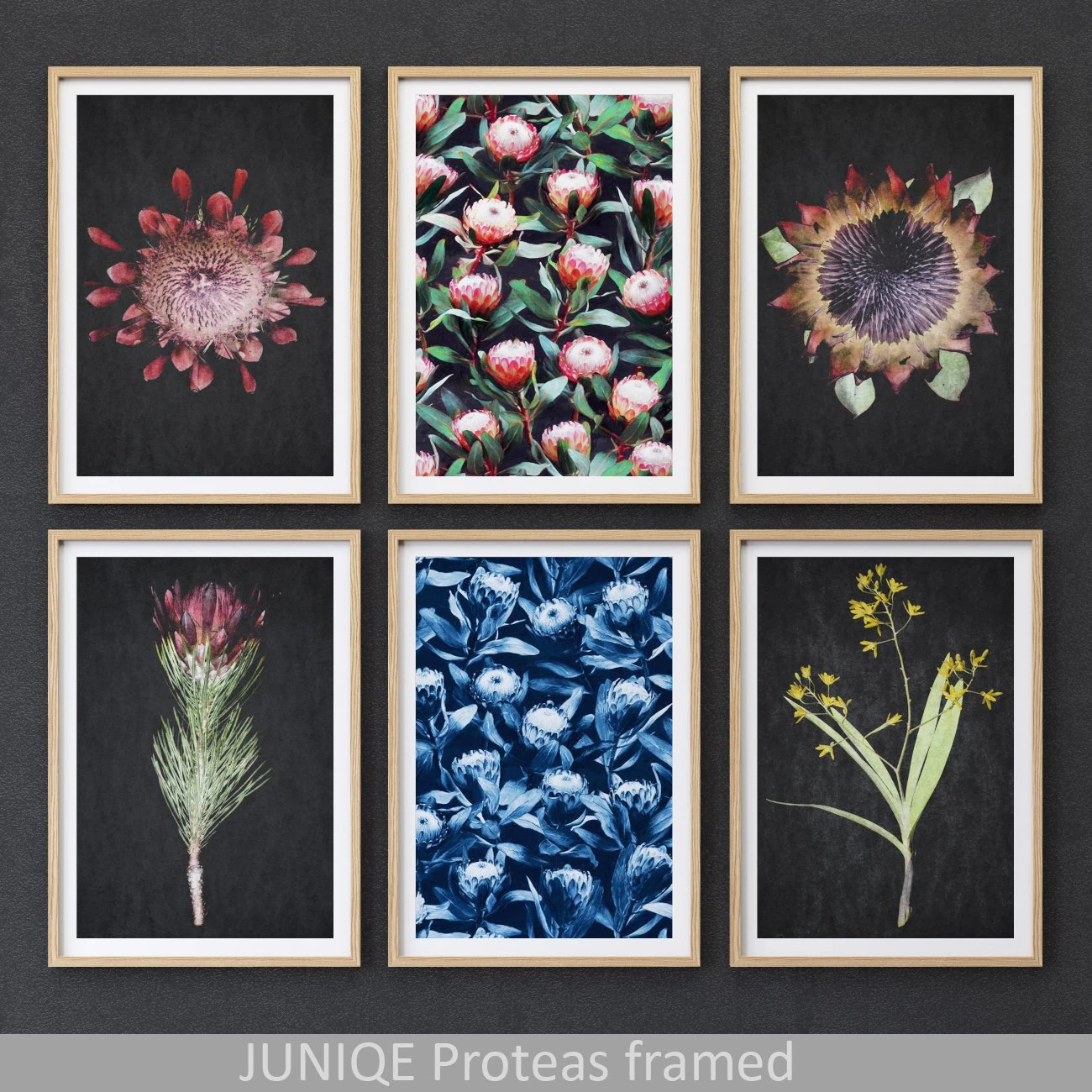 proteas framed set-01 3D Model .c4d .max .obj .3ds .fbx .stl .blend 