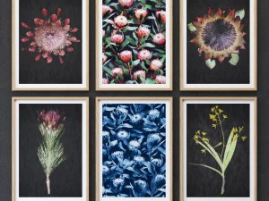 Протеас в рамке, набор-01 3D Модель