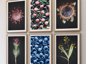 proteas framed set-01 3Dモデル