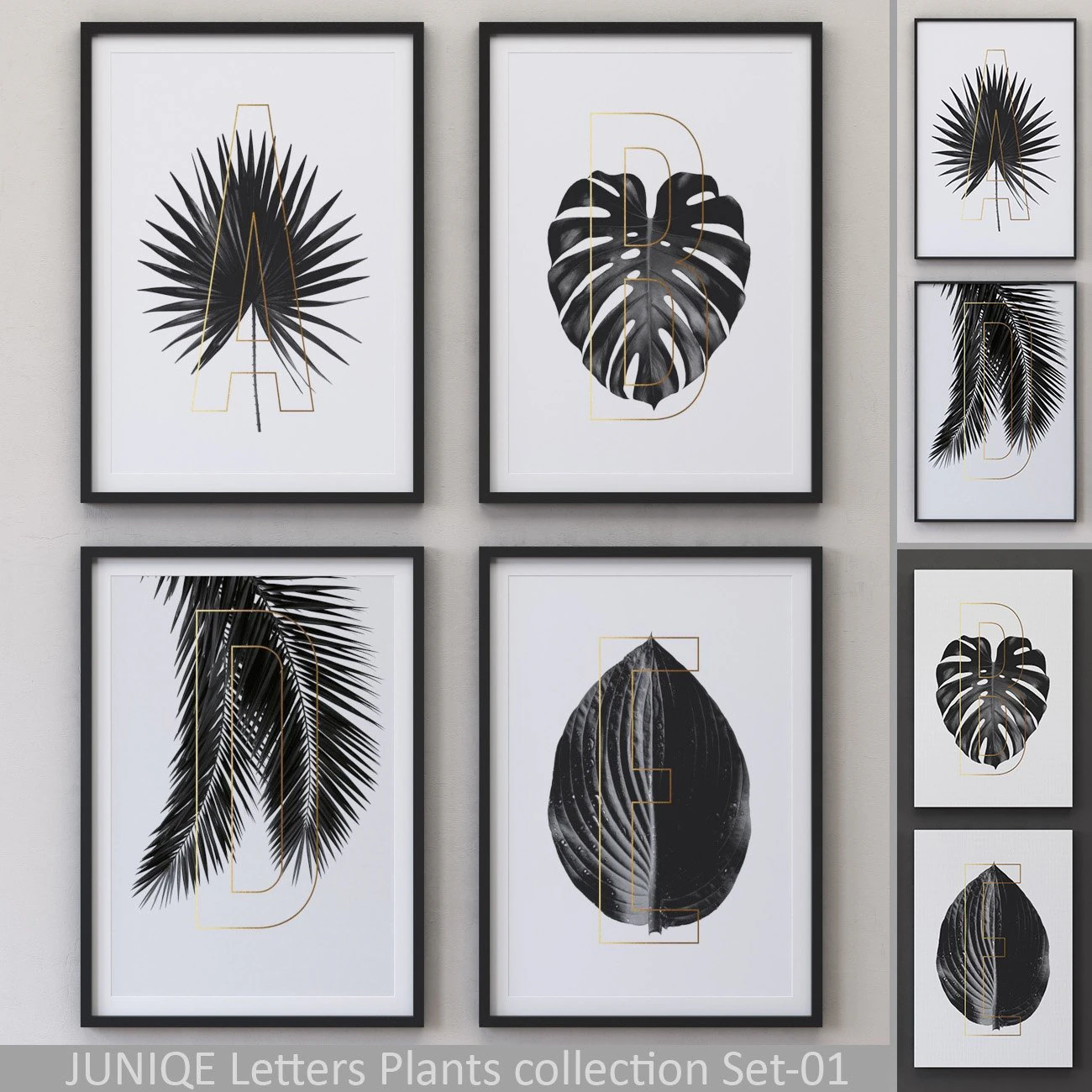 letters plants framed set-01 3D Model .c4d .max .obj .3ds .fbx .stl .blend 