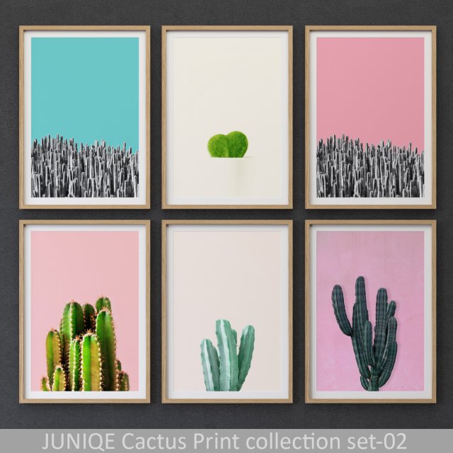 cactus print collection framed set-02 3D Model .c4d .max .obj .3ds .fbx .stl .blend 