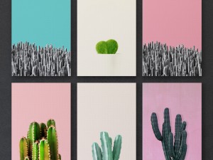 cactus print collection framed set-02 3D Model