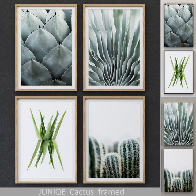 juniqe cactus framed 3D 모델 .c4d .max .obj .3ds .fbx .stl .blend 