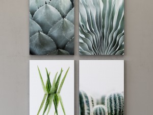 juniqe cactus framed 3D 모델