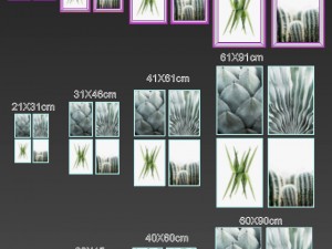 juniqe cactus framed 3D 모델