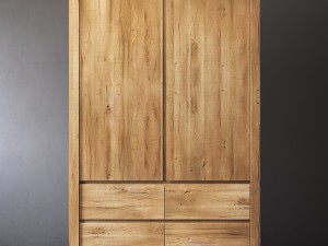 rh reclaimed russian oak armoire 3D Model
