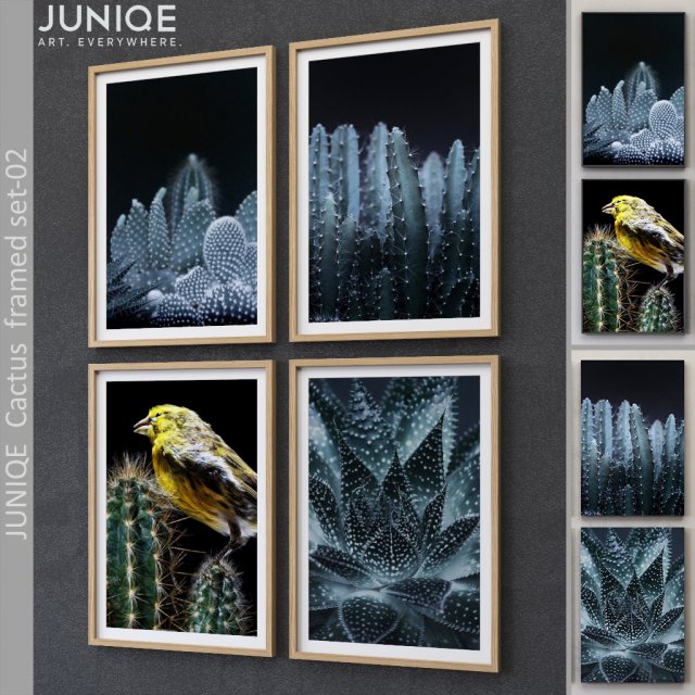juniqe cactus framed set-02 Model 3D .c4d .max .obj .3ds .fbx .stl .blend 