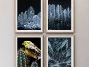 juniqe cactus framed set-02 Model 3D