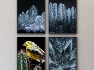 juniqe cactus framed set-02 Model 3D