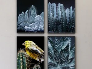 juniqe cactus framed set-02 3D Model