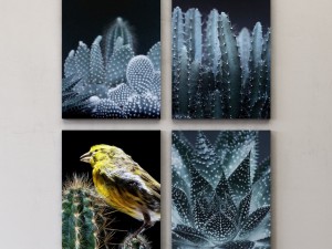 juniqe cactus framed set-02 Model 3D
