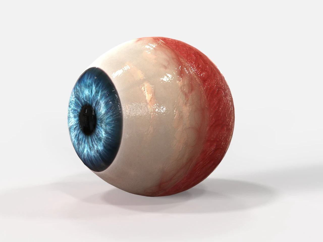 realistic human eye 3D Model .c4d .max .obj .3ds .fbx .stl .blend 