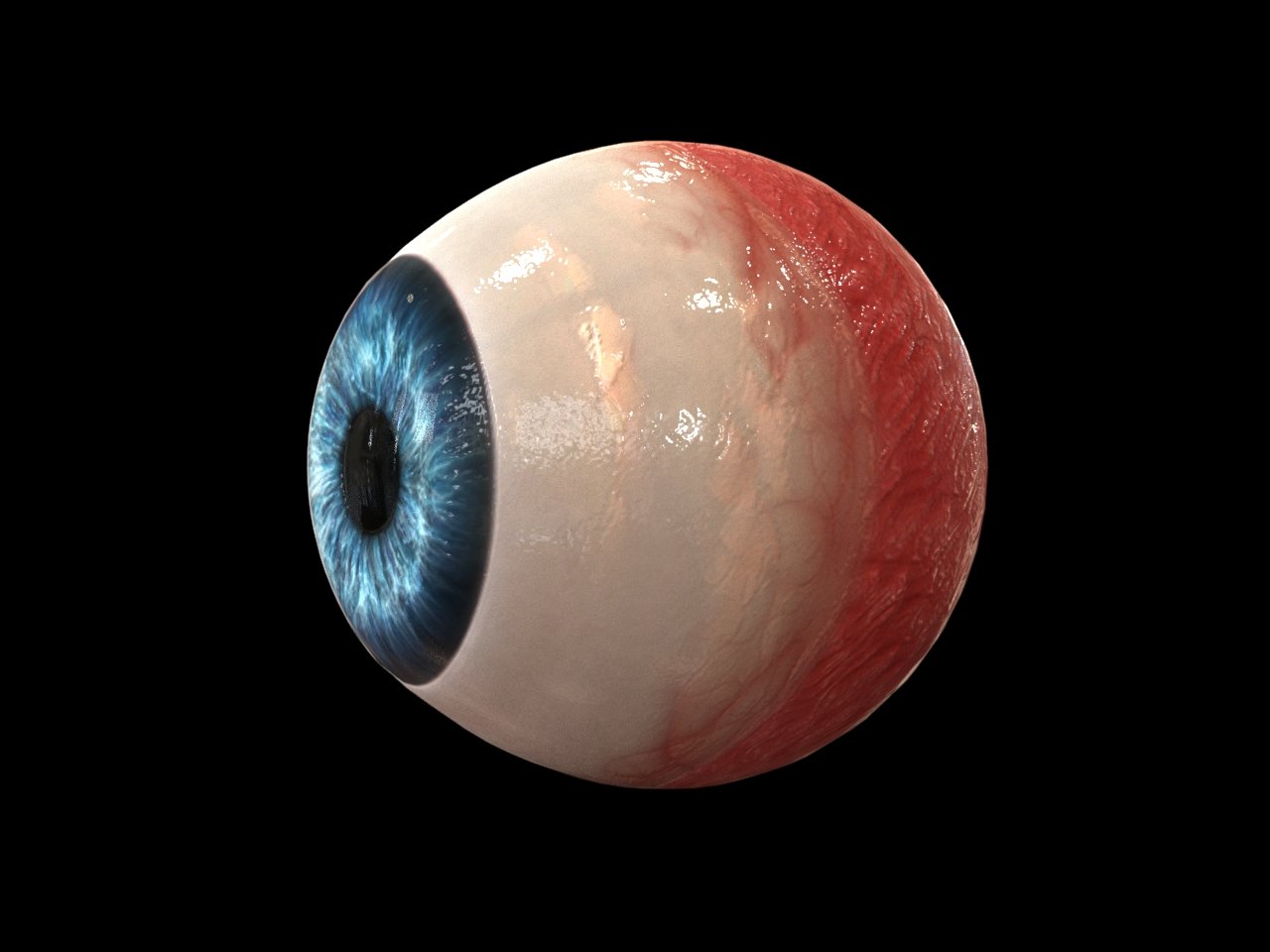 Глаз 3d модель