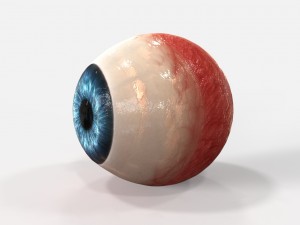 realistic human eye 3D Model