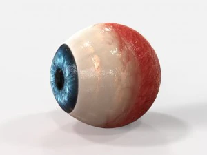 realistic human eye 3D Model