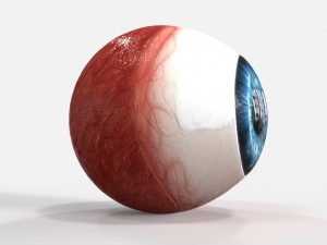 realistic human eye 3D Model