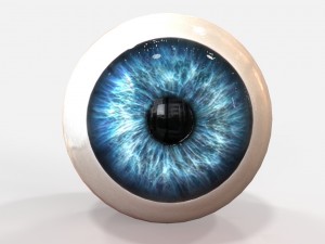 realistic human eye 3D Model