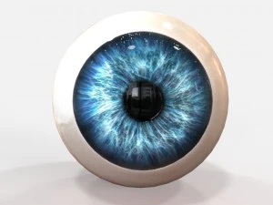 realistic human eye 3D Model