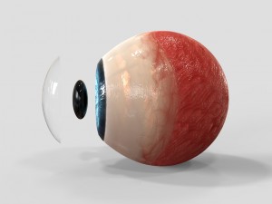 realistic human eye 3D Model
