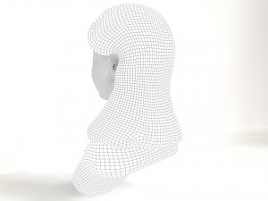 zgirl bust 3D मॉडल