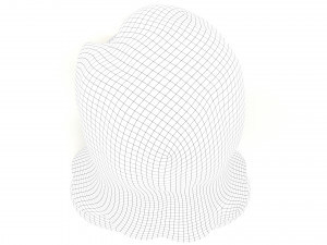zgirl bust 3D मॉडल