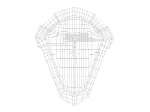 ancient shield 3D-Modell