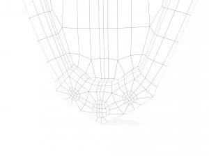 ancient shield 3D Model