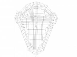 ancient shield 3D-Modell