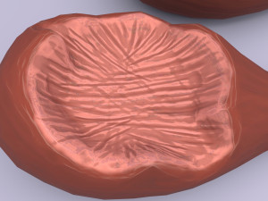 cartoon chicken leg Modelo 3D