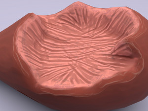 cartoon chicken leg Modelo 3D