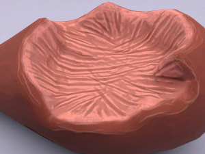 cartoon chicken leg 3D Model