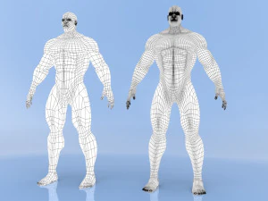 male base mesh 3D Model
