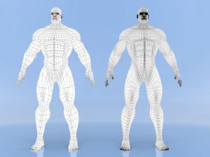 male base mesh 3D Model